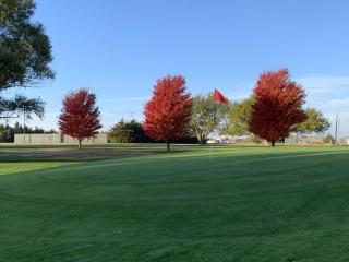 #5 Green Hillsboro Golf Course